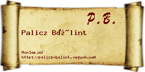 Palicz Bálint névjegykártya